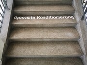 Institut für Psychologie